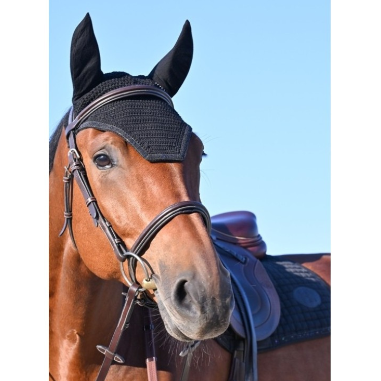 JUMP'IN - Bonnet Cheval Carat Noir