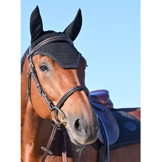 JUMP'IN - Bonnet Cheval Carat Noir