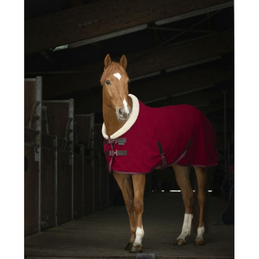 EQUITHEME - Chemise Polaire Teddy Bordeau