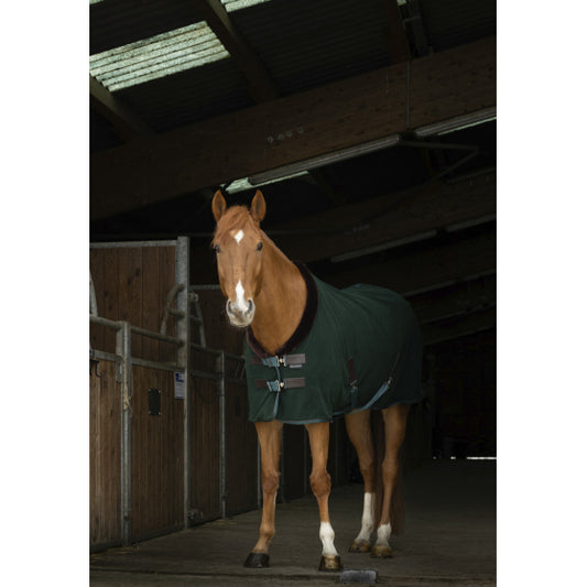 EQUITHEME - Chemise Polaire Teddy Vert